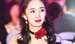 杨幂的最新爆料,揭秘娱乐圈背后的惊人真相